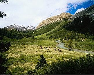 NITRO PLUS推出全新2.5D横版动作游戏《Rusty Rabbit》| 由著名动画编剧虚渊玄